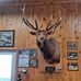 Dave Dewey - Facebook