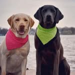 Dave Dewey - @dave_dewey - Instagram