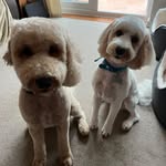 Dave Dickerson - @davedickerson9 - Instagram