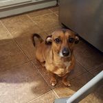 Dave Dickerson - @dickerson1694 - Instagram