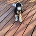 Dave Dinardo - Facebook