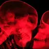 User is dead - @youtubedaveedo - TikTok