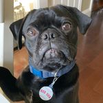 David Dobbs - @davedobbs17 - Instagram