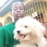 Dave Dobson - @davedobson2023 - Instagram
