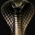 Dave Dobson - @davedobson2003 - Instagram