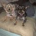 Dave Dobson - Facebook