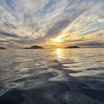 Dave Doherty - @dave.doherty - Instagram