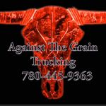 Dave Doherty - @against_the_grain_trucking_ltd - Instagram