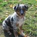 Dave Douglass - Facebook