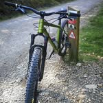 Dave Dowley - @davedowley1 - Instagram