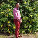 Dave Dowrich - @davedowrich - Instagram
