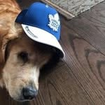 Dave Dudley - @dave.dudley.61 - Instagram