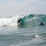 Dave Durante - @durantedave - Instagram