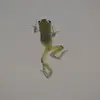 Dave Durbin781 - @davedurbin781 - TikTok