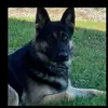 Dave Durbin - @dave.durbin1 - TikTok
