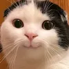 Dave Duray - @dave.duray0 - TikTok