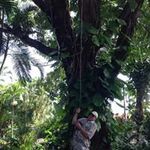Dave Durfee - @dave.durfee - Instagram