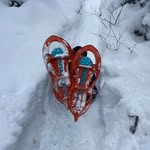 David Durocher - @david.durocher.767 - Instagram