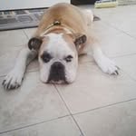 david dutson - @next.surge_801 - Instagram
