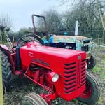 Dave Earl - @tall_trees_smallholding - Instagram