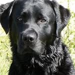 Dave Earl - @dave.earl.14 - Instagram