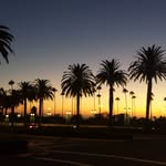 Dave Eckels - @socal.rewards - Instagram