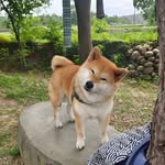 林栗子 - @daveedison0206 - Instagram