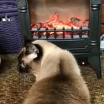 Daveen Edmiston - @daveenedmiston45 - Instagram