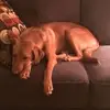 daveedmonds - @daveedmonds - TikTok