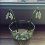 Dada fisa - @daveedo.daveedo - Instagram