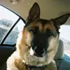 daveegee - @user455817832 - TikTok