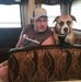 Dave Ehlert - Facebook