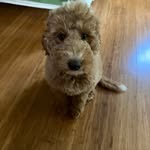 Dave Ehrenkranz - @daveehrenkranz - Instagram