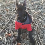 David Eilers - @daveeilers26 - Instagram