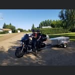 Dave Elder - @david.elder.754918 - Instagram