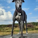 Dave Eldridge - @daveeldridge78 - Instagram