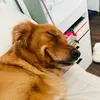 daveli - @daveli_ - TikTok