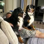David Ellenberger - @dave.ellenberger - Instagram