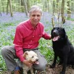 David Elphick - @david.elphick - Instagram