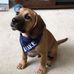 Dave Enfield - Facebook