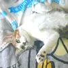Daveenio - @daveenio - TikTok
