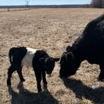 Dave Enright - @daveenright_opasfarminghuis - Instagram