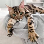 Dave Ernest - @dave_ernest12 - Instagram