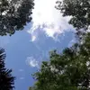 Dave Ernesta - @daveernesta - TikTok
