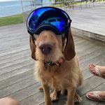 Dave Ernst - @drdaveernst - Instagram