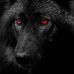 Dave Ervin - Facebook