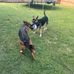 Dave Ervin - Facebook