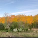 @dave_espo - Instagram
