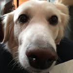 Dave Estes - @navy_longhorn - Instagram