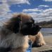 David Ethier - Facebook